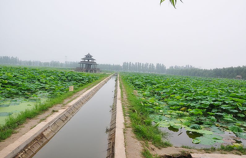 歷城區(qū)遙墻農(nóng)業(yè)綜合開(kāi)發(fā)項(xiàng)目