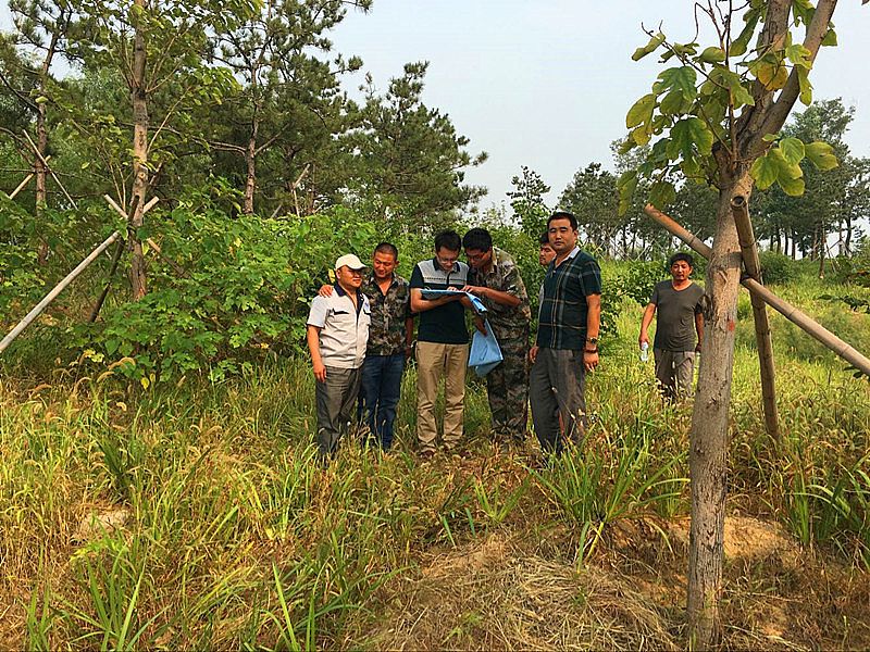 白浪河工程園林綠化完美收官